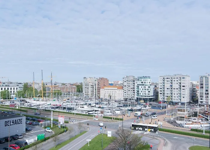 Zongericht Met Zicht Op De Jachthaven Ostend